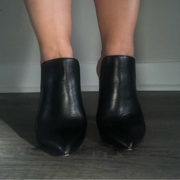 Aldo Mules - Picture 6 of 10